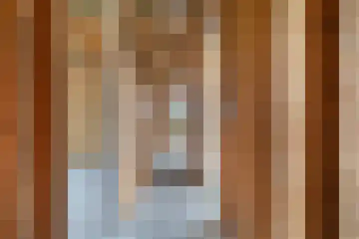 Lange Reed 2 a De Westereen thumbnail 21