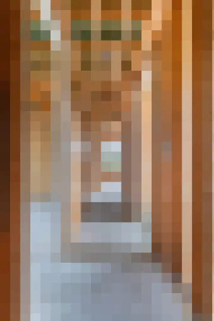 Lange Reed 2 a De Westereen thumbnail 22