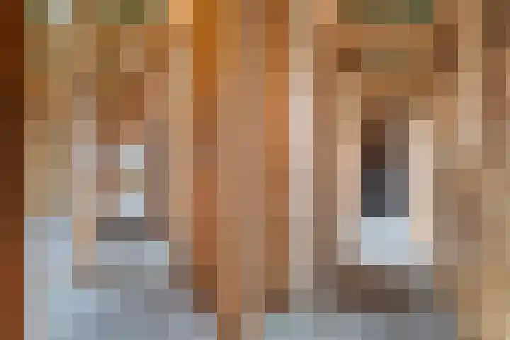 Lange Reed 2 a De Westereen thumbnail 23