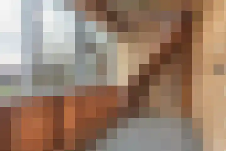 Lange Reed 2 a De Westereen thumbnail 26