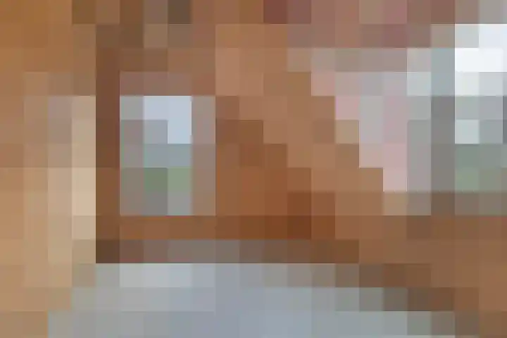 Lange Reed 2 a De Westereen thumbnail 29