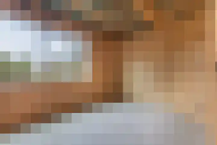 Lange Reed 2 a De Westereen thumbnail 31