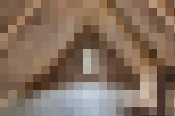 Lange Reed 2 a De Westereen thumbnail 36