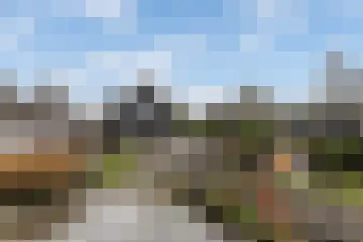 Lange Reed 2 a De Westereen thumbnail 38