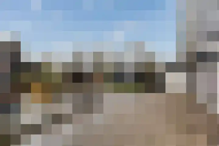 Lange Reed 2 a De Westereen thumbnail 39