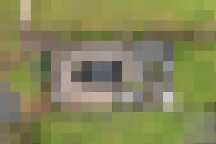 Lange Reed 2 a De Westereen thumbnail 40