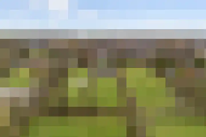 Lange Reed 2 a De Westereen thumbnail 41