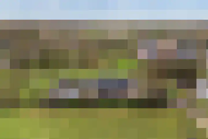 Lange Reed 2 a De Westereen thumbnail 42