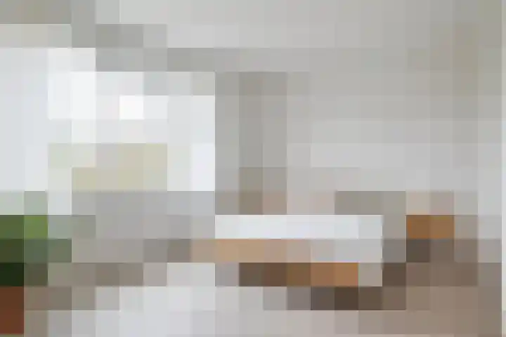 Lange Reed 2 a De Westereen thumbnail 47