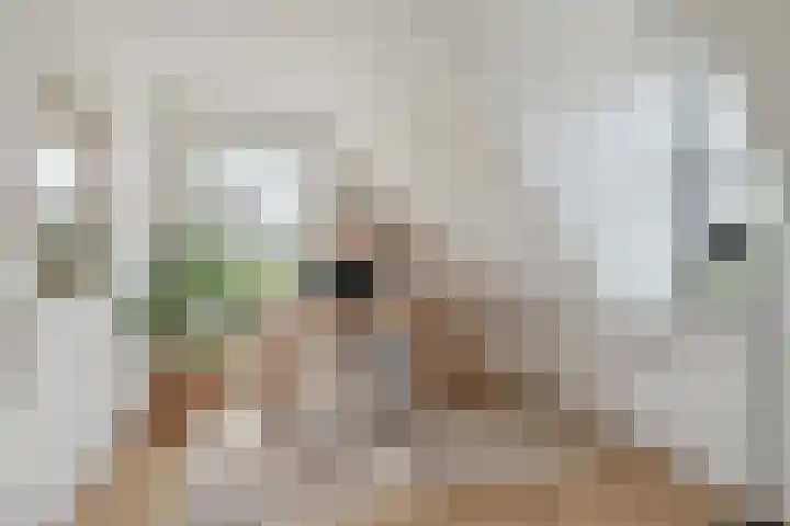 Lange Reed 2 a De Westereen thumbnail 50