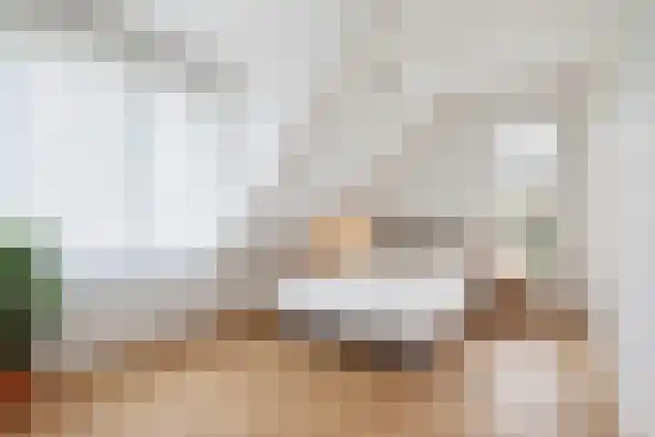 Lange Reed 2 a De Westereen thumbnail 51