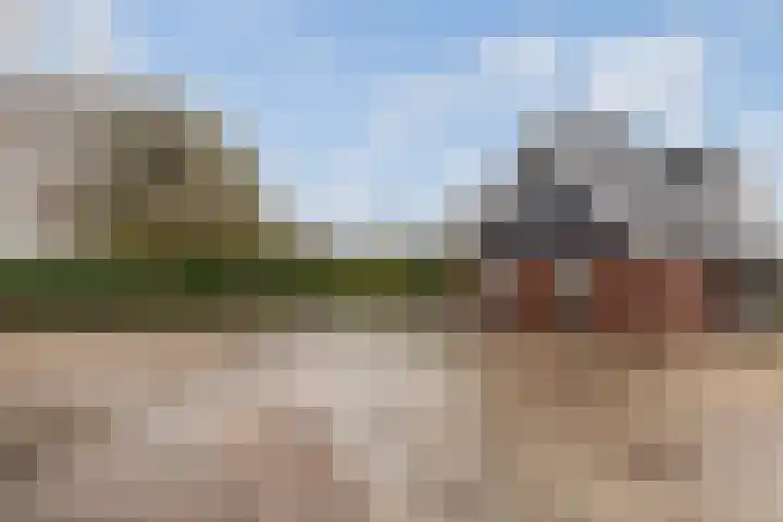 Lange Reed 2 a De Westereen thumbnail 7