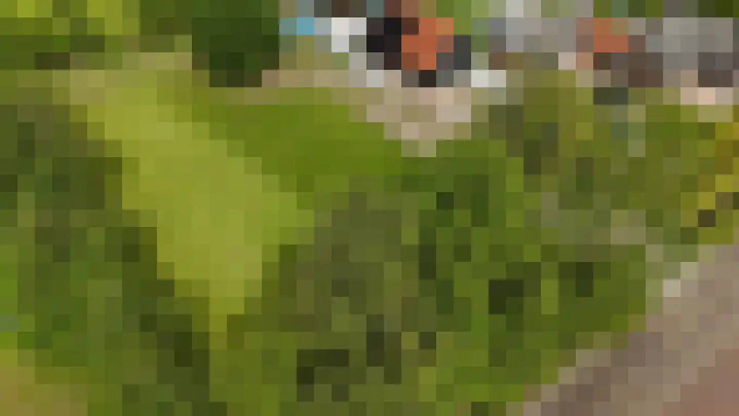 Lange Reed 4 De Westereen thumbnail 10