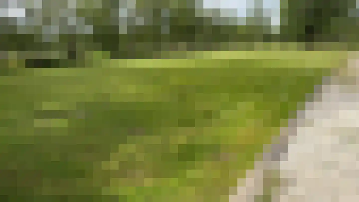 Lange Reed 4 De Westereen thumbnail 11