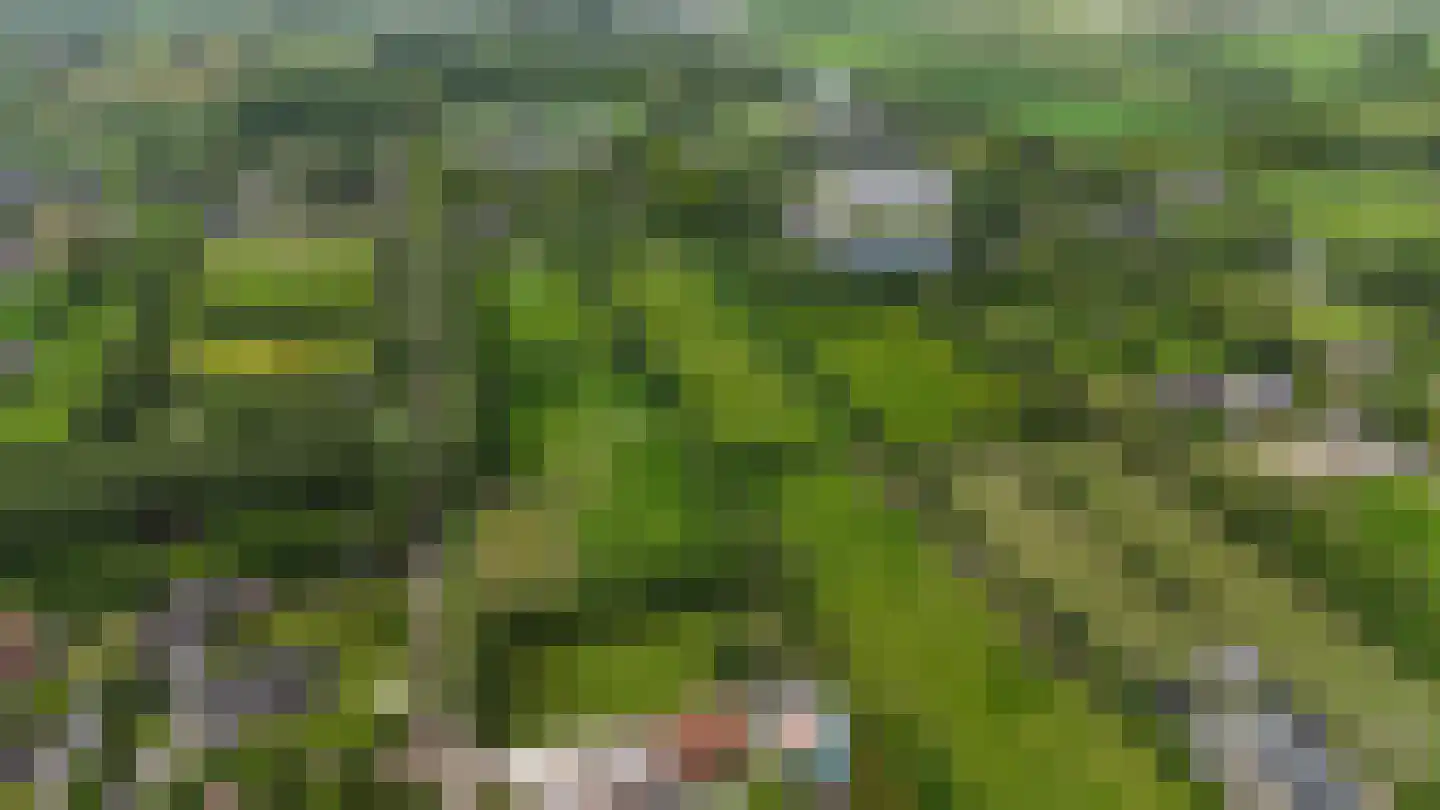 Lange Reed 4 De Westereen thumbnail 5