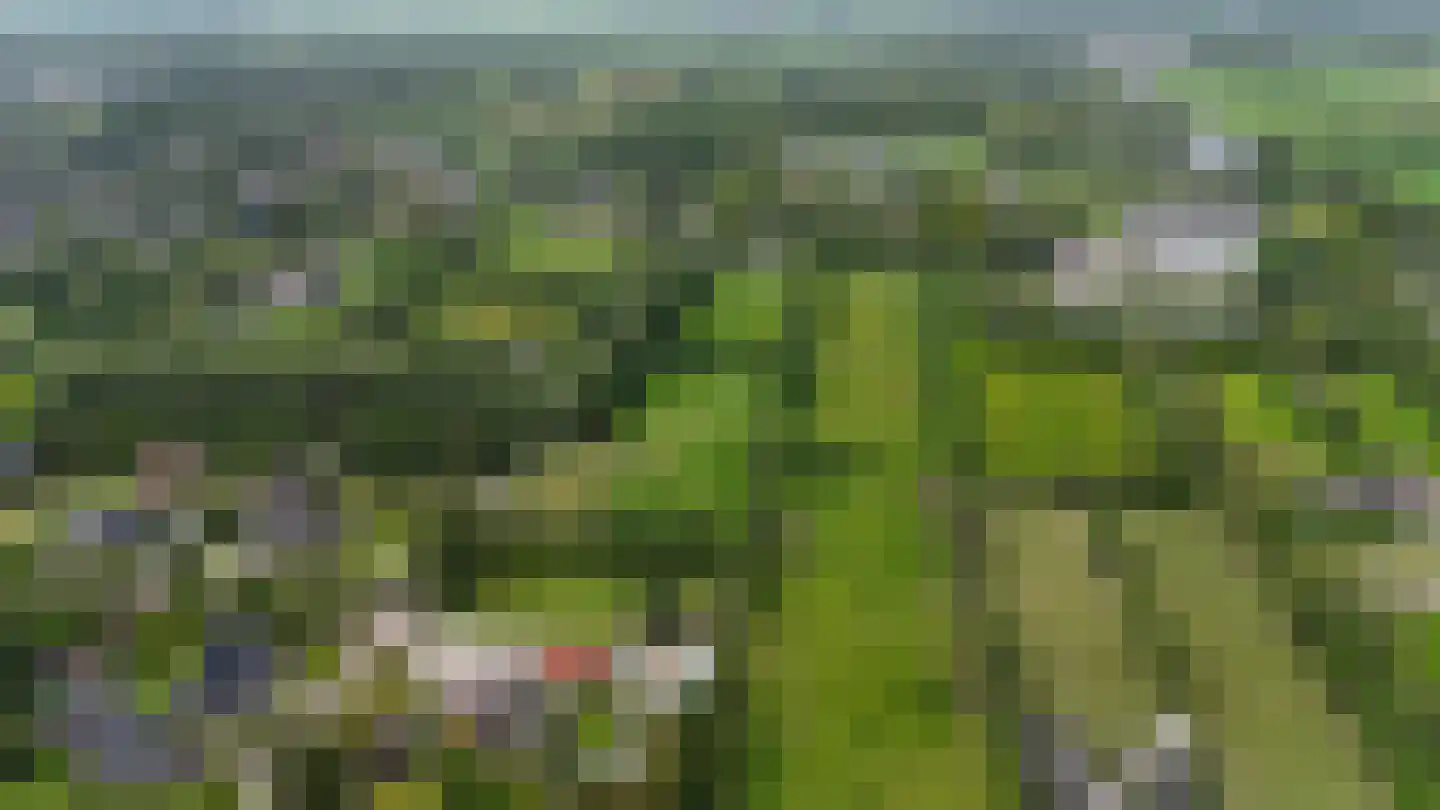Lange Reed 4 De Westereen thumbnail 6