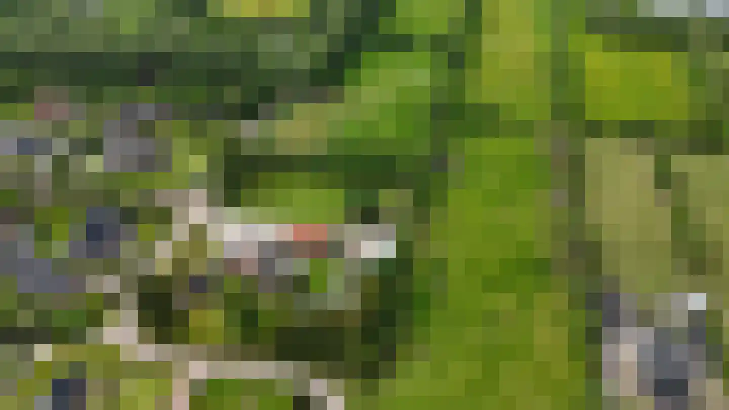 Lange Reed 4 De Westereen thumbnail 7
