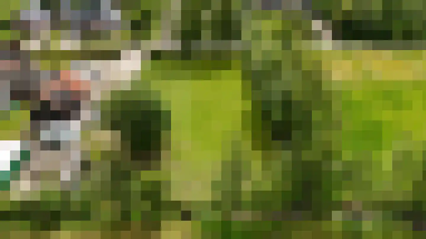 Lange Reed 4 De Westereen thumbnail 9