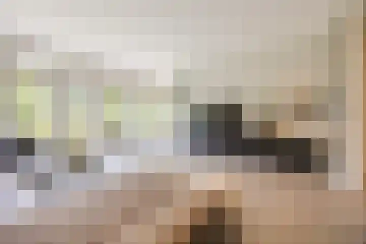 Lange Reep 49 Rijsbergen thumbnail 10