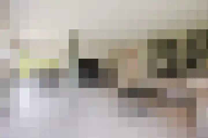 Lange Reep 49 Rijsbergen thumbnail 12