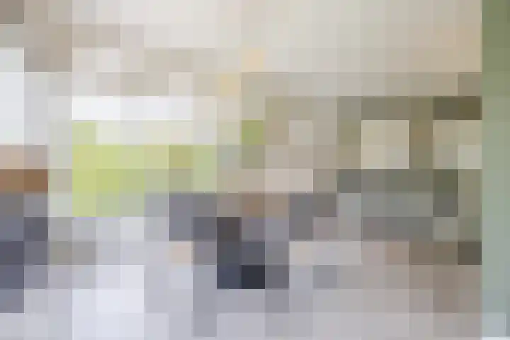 Lange Reep 49 Rijsbergen thumbnail 13