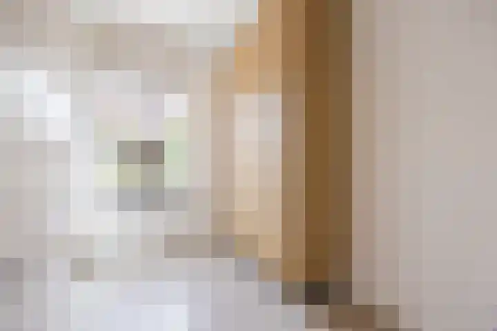 Lange Reep 49 Rijsbergen thumbnail 20