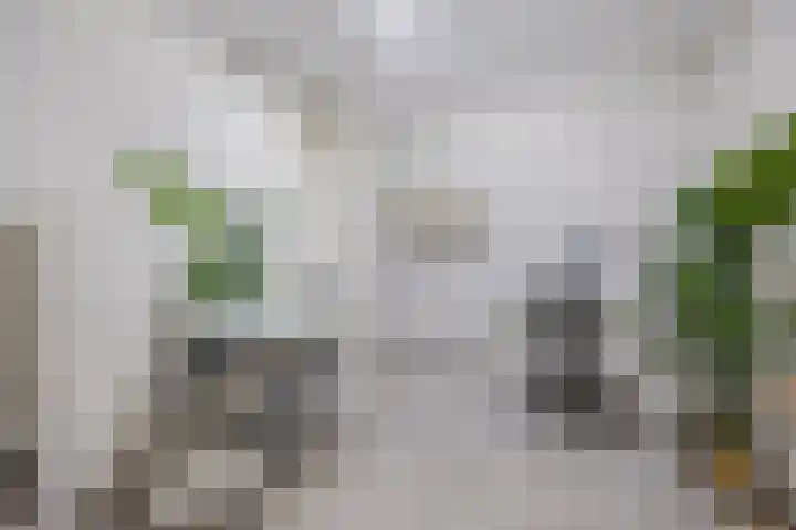 Lange Reep 49 Rijsbergen thumbnail 21