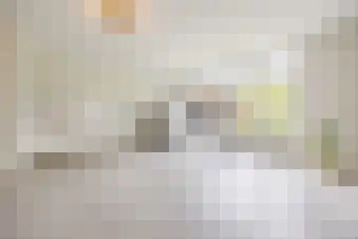 Lange Reep 49 Rijsbergen thumbnail 23