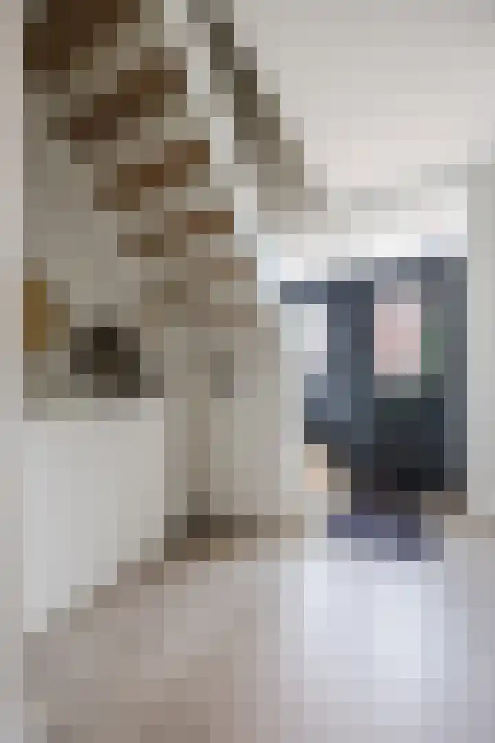 Lange Reep 49 Rijsbergen thumbnail 30