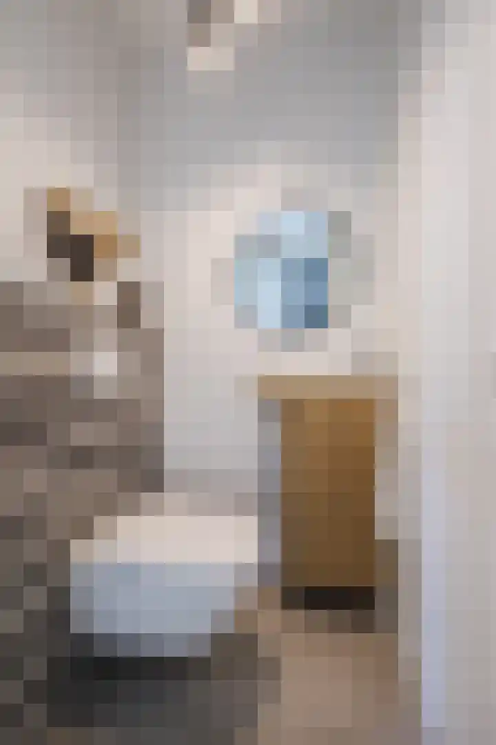 Lange Reep 49 Rijsbergen thumbnail 31