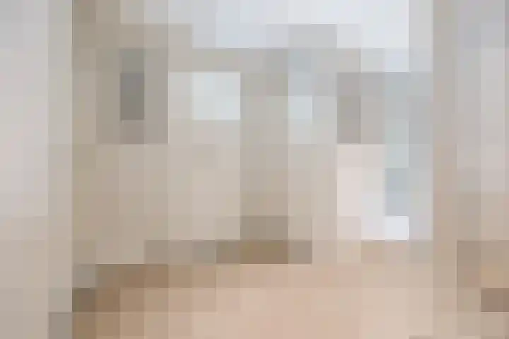 Lange Reep 49 Rijsbergen thumbnail 32