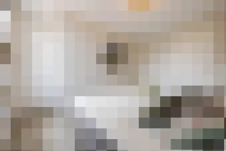 Lange Reep 49 Rijsbergen thumbnail 35