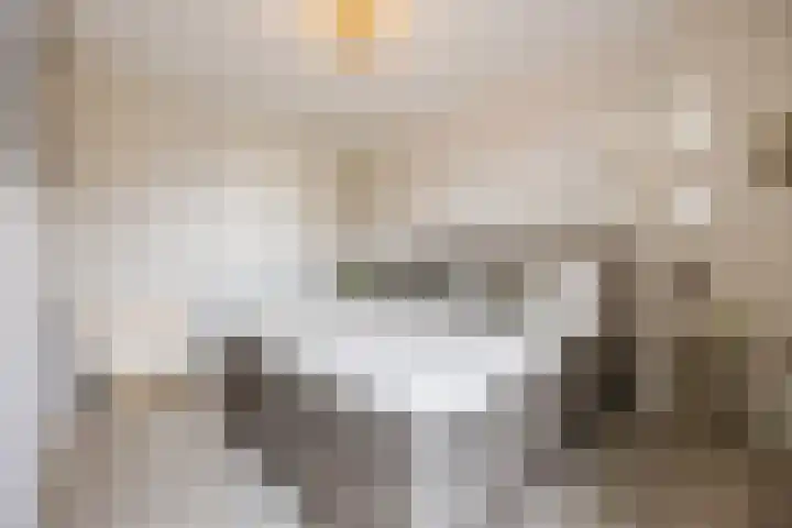 Lange Reep 49 Rijsbergen thumbnail 36