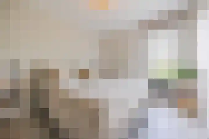Lange Reep 49 Rijsbergen thumbnail 38