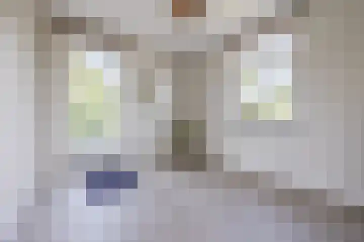 Lange Reep 49 Rijsbergen thumbnail 41