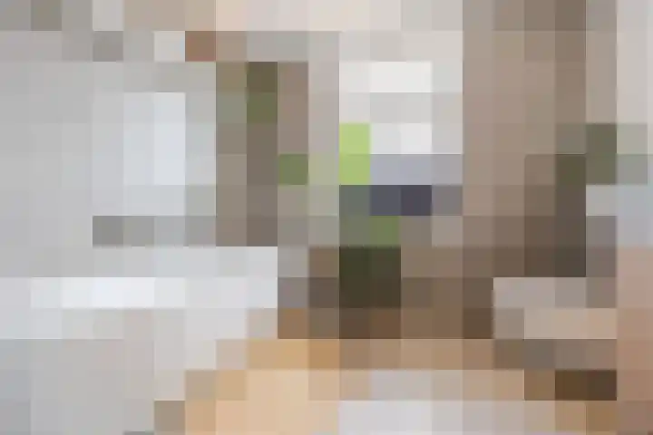 Lange Reep 49 Rijsbergen thumbnail 44