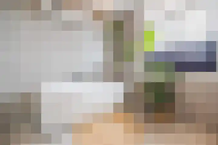 Lange Reep 49 Rijsbergen thumbnail 45