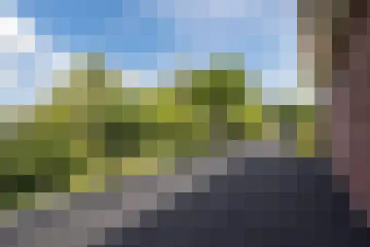 Lange Reep 49 Rijsbergen thumbnail 58