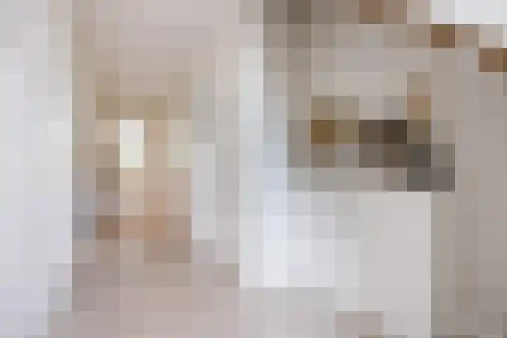 Lange Reep 49 Rijsbergen thumbnail 6