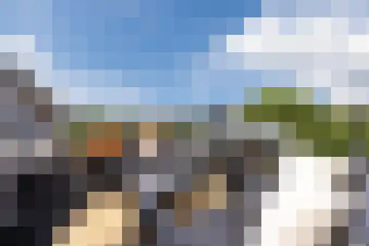 Lange Reep 49 Rijsbergen thumbnail 60