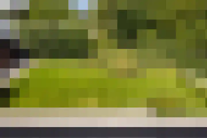 Lange Reep 49 Rijsbergen thumbnail 61