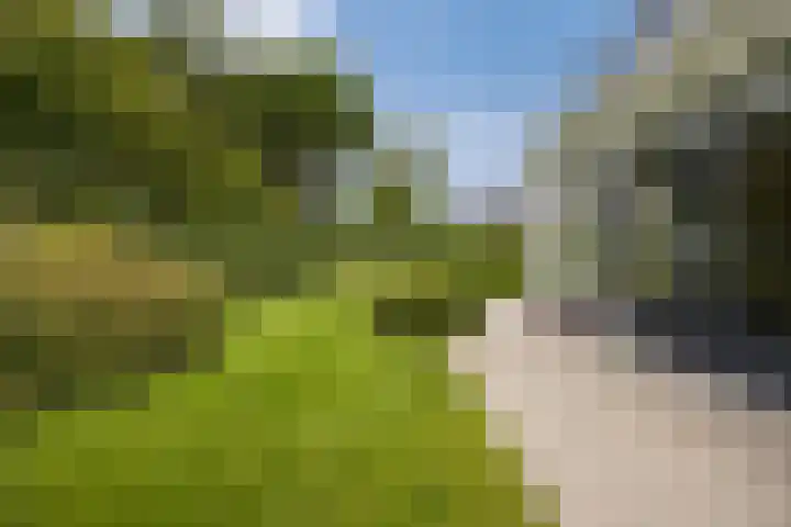 Lange Reep 49 Rijsbergen thumbnail 64
