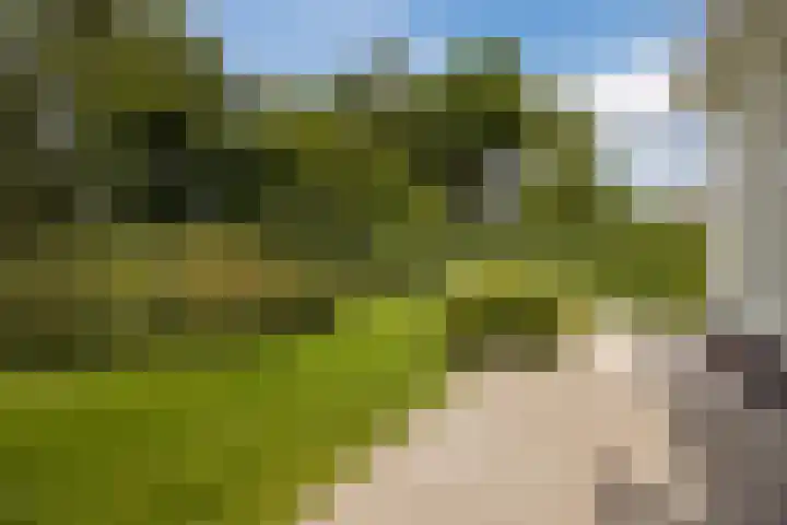 Lange Reep 49 Rijsbergen thumbnail 65
