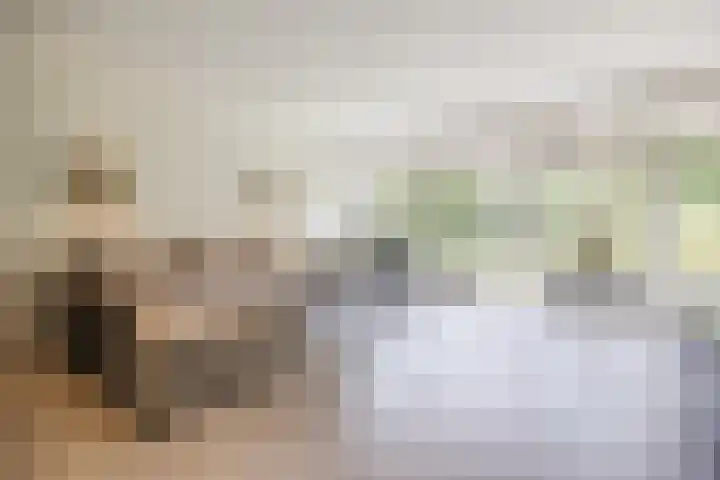 Lange Reep 49 Rijsbergen thumbnail 8