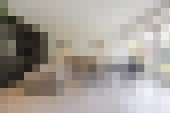 Lange Reep 49 Rijsbergen thumbnail 9