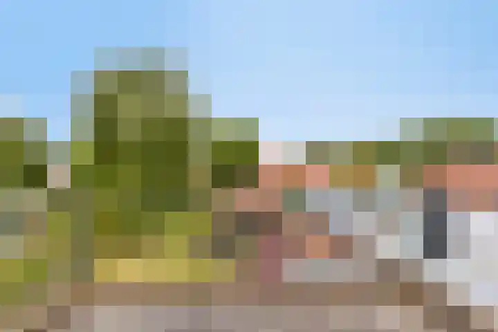 Lange Reke 24 Renesse thumbnail 20