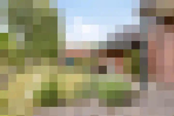 Lange Reke 24 Renesse thumbnail 22