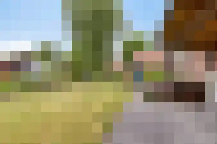 Lange Reke 24 Renesse thumbnail 23