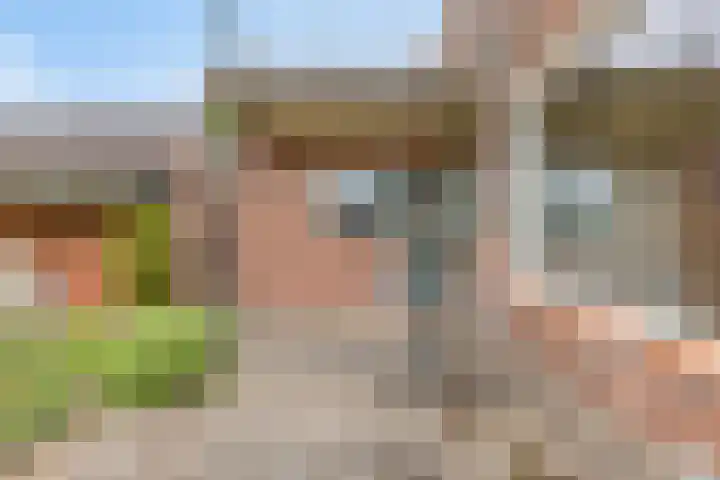 Lange Reke 24 Renesse thumbnail 24