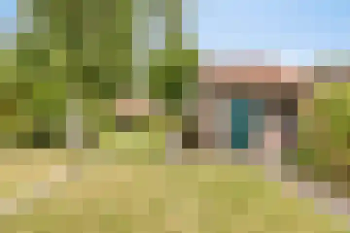 Lange Reke 24 Renesse thumbnail 25